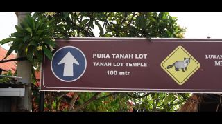 6201 A Day In Bali - Lunas Journey-8