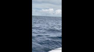 online adult video 16 Onlyfans - Chelseawaves - Omg Caught not only my first sailfish but also Incredible crew here in Costa Rica I - 31-05-2021 on hardcore porn hardcore porn download-9