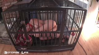 Cage Time With Greyhound (Extended) - 08.06.21 Download N...-7