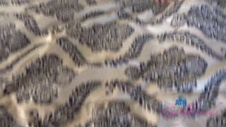 Compilation - Meloni Moon Gets You Off.-5