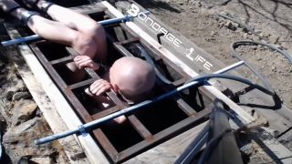 Greyhound Gets The Box - 08.26.19 Video Sex Download Porn-4