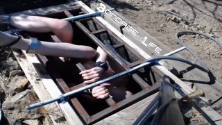 Greyhound Gets The Box - 08.26.19 Video Sex Download Porn-5