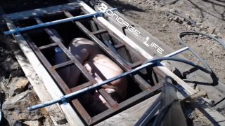 Greyhound Gets The Box - 08.26.19 Video Sex Download Porn-6