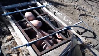 Greyhound Gets The Box - 08.26.19 Video Sex Download Porn-7