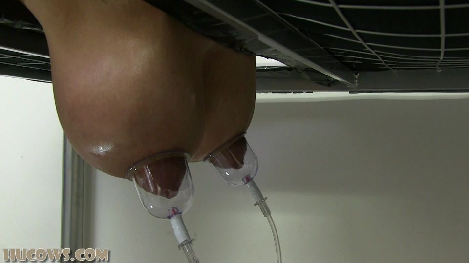 adult video clip 9 hardcore fetish Hucows – Katie – longer nipples, bdsm on bdsm porn