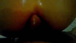 amal_568-6