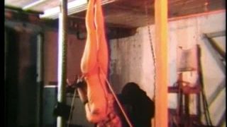 Punished 5 Video Sex Download Porn-9