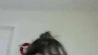 Online Tube Shemale Webcams Video for January 12, 2019 - shemales-9