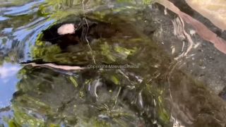 Maevaa sinaloa 68080613 video 2025-01-27 11-18 MYM.Fans (Femdom porn)-1