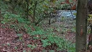 [K2S.CLUB] SweetChloe - Outdooor Blowjob - FullHD 1080P-4