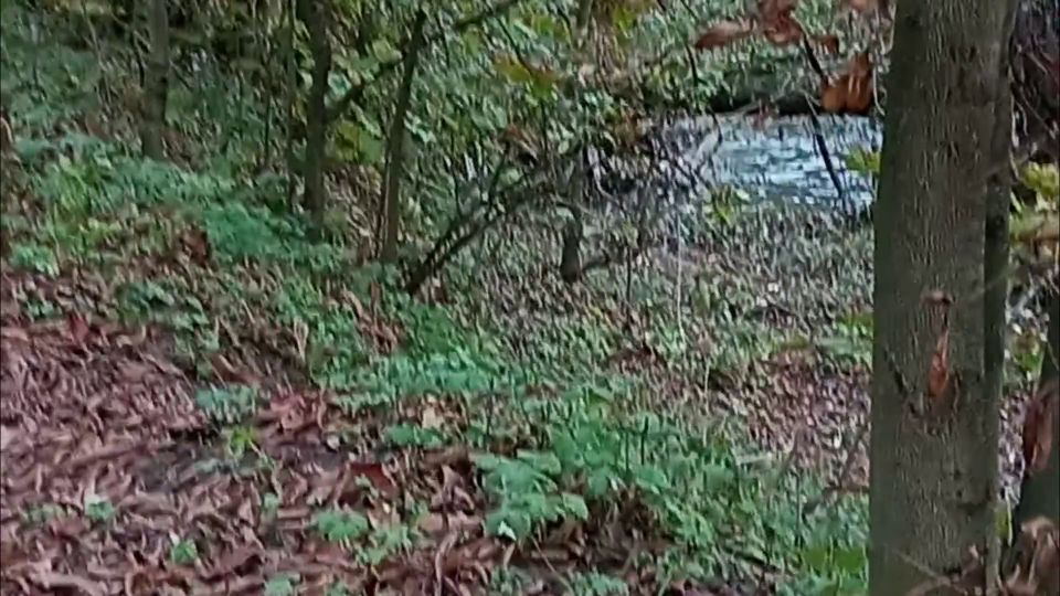 [K2S.CLUB] SweetChloe - Outdooor Blowjob - FullHD 1080P