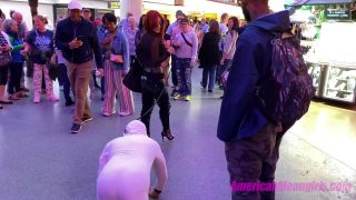 The Mean Girls - Goddess Platinum - Public Mutt Crawl (1080 HD) - Public Humiliation | footworship | feet porn femdom xxx-5