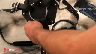 Nothosaur Yrdeno A Heavy-Duty Strap-On Harness for The Biggest of Beasts-6