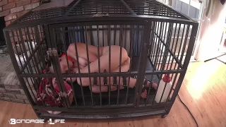 free video 34 Bondage Life – Cage Time With Greyhound (Extended) | cage | bdsm porn porno bdsm facesitting-8