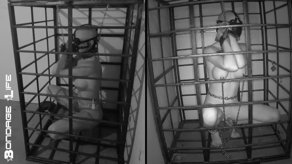 xxx video 1 Bondage Life – More Storage Time For Greyhound | bondage | fetish porn bdsm squirt porn