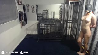 online adult clip 6 Bondage Life – Do As He Commands Rachel Greyhound 11/1/2021 on femdom porn bdsm trans-7