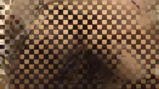 Real Homemade Interracial is0909031-1