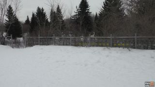 Public Blowjob In Winter Parks - Public-8