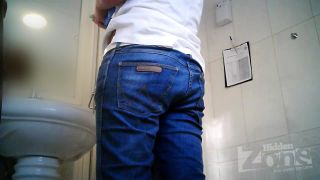  voyeur | Hidden Zone WC - hz Wc2993 | voyeur-2