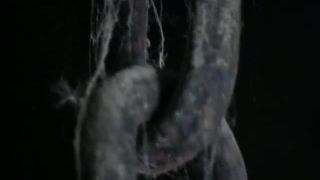 Interrogatio - Am Pranger Sex Clip Video Porn Download Mp4-5