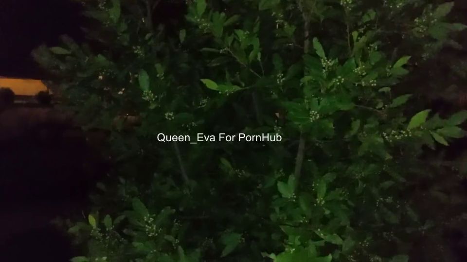 Queen Eva - Slut wife fucks a stranger on the street - AMATEUR 720P - Big boobs