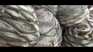 Video Luna Okko    E17  Fuck Glamp?ng  Lunas Journey 1080p FullHD-2