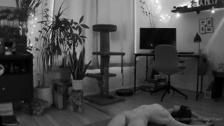 nextdoorvixen 2022-04-07 Say hello again to Amelia my personal toy  Relax and join    1a08c4-9