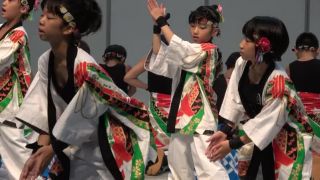 Voyeur Performance 20 - 15321734 on voyeur -0