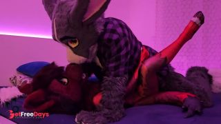 [GetFreeDays.com] murrsuit bunny breeds a cute tiny furry wolf Murrsuit Video Porn Leak November 2022-5