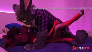 [GetFreeDays.com] murrsuit bunny breeds a cute tiny furry wolf Murrsuit Video Porn Leak November 2022-6