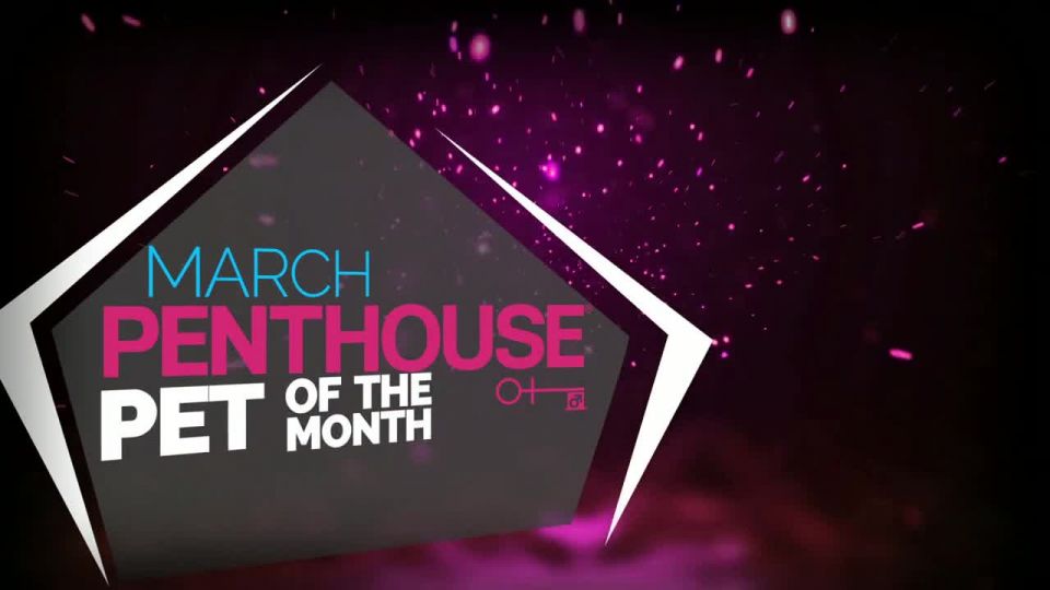 free porn video 15 Ava Dalush Penthouse – 2015 Pet of the month March solo,  on interracial sex porn 