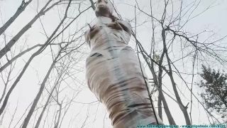 Tree Taped Video Sex Download Porn-9