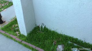 clip 40 Disciplinary Arts – MP4/Full HD – Mr. Troy, Yasmine Sinclair – Obeying Curfew (Release date: Apr. 16, 2021) - bdsm porn - fetish porn japanese bdsm hardcore-1