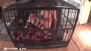 xxx video 33 Bondage Life – Cage Time With Greyhound (Extended), used condom fetish on fetish porn -3