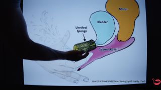 How To Squirting Tutorial  Mr Pussylicking 1080p-1