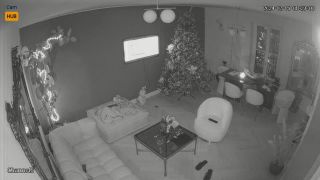 Voyeur 981 Italy Milan sbezqpd8u-2