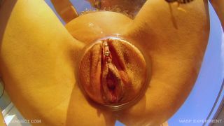 WASP EXPERIMENT 2017 September 15 1080P - Qs-2
