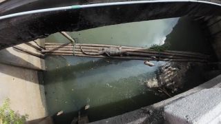 60Fps I found a Monitor Lizard in Bangkok Thailand-1