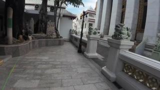 60Fps I found a Monitor Lizard in Bangkok Thailand-7
