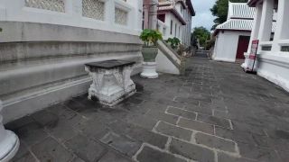 60Fps I found a Monitor Lizard in Bangkok Thailand-8