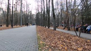 Pornhub.com - redkittycat - Walking around City Park with Stepsister and Making Public Sex in Forest  on cumshot femboy blowjob-1