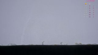 Webcam Show: SapphireAlice's Top 40 Moments Not To Miss-8