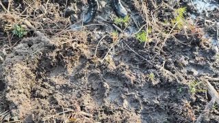 porn video 7 OnlyFans - Madame Juliette - Mistress Wants To Have Some Fun In The Woods - FullHD 1080p, mature fetish on fetish porn -3