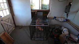 BM Greyhound - 18 Ranch Chores (09.18.20) Sex Clip Video ...-8