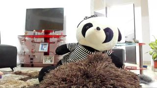 Shemale Webcams Video for August 26, 2019 – 17 - Shemale Videos, Webcam Webcam!-1