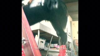 Bossy Ass Delilah_2017-09-23 TEX LATINA INCASED HOOD FULL BODYSUIT Note this is a just a tasty tease, full v - 23-6