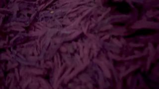 Extreme CBT by Housewife (Ballbusting).-9