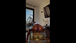 queen tahshaar qt314-7