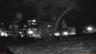  Voyeur - Street Festival Summary 0035, voyeur on voyeur-1