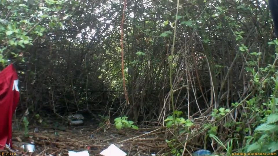  Voyeur - Street Festival Summary 0035, voyeur on voyeur